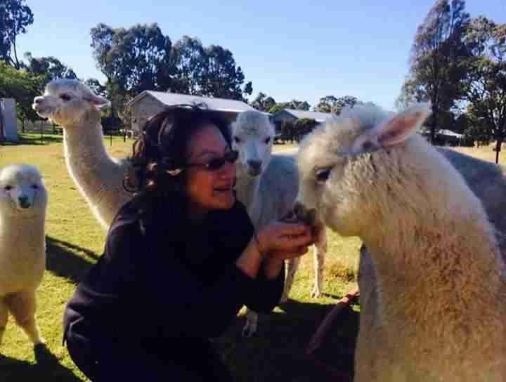 Starline Alpacas Farmstay Resort Broke Exteriör bild