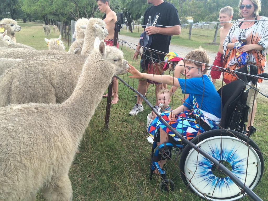 Starline Alpacas Farmstay Resort Broke Exteriör bild